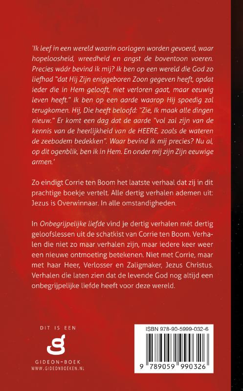 Onbegrijpelijke liefde - Afbeelding 2